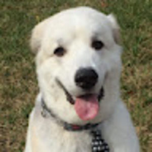 Meet your Posher, Vickie